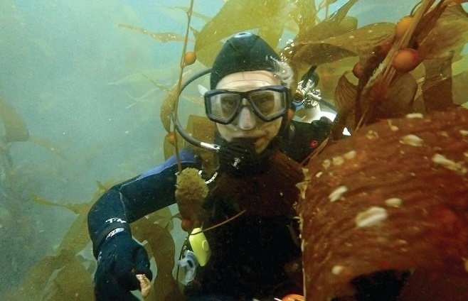 save-our-endangered-kelp-forests
