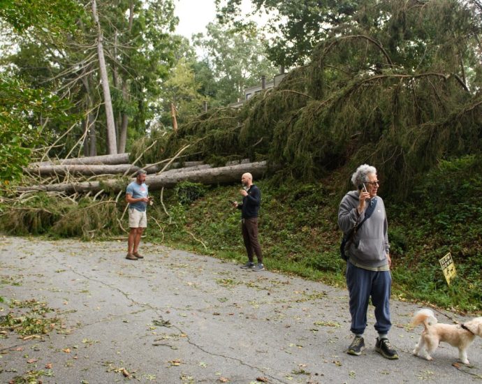 how-cellphone-carriers-prepare-for-hurricane-season-with-ai,-drones-and-‘cows’