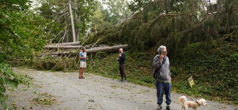 how-cellphone-carriers-prepare-for-hurricane-season-with-ai,-drones-and-‘cows’
