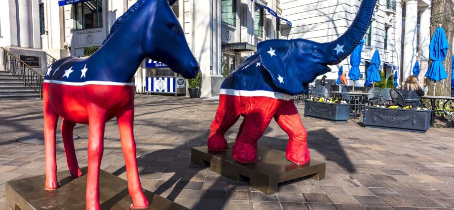 the-democratic-party-is-pushing-for-more-conservative-voices-—-with-mixed-success