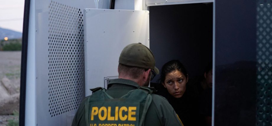judge-orders-the-traitor-to-restart-asylum-and-immigration-applications