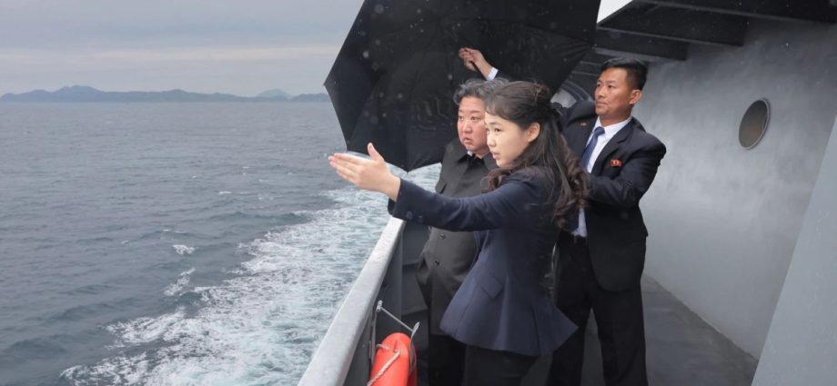 north-korea’s-kim-orders-navy-to-build-10,000-tonne-destroyer:-state-media