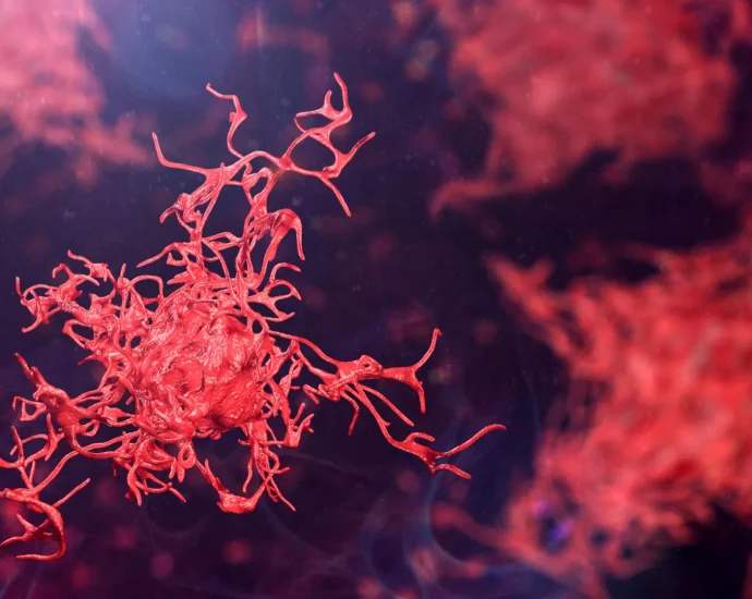 scientists-sound-the-alarm-as-dangerous-amoebas-spread-globally