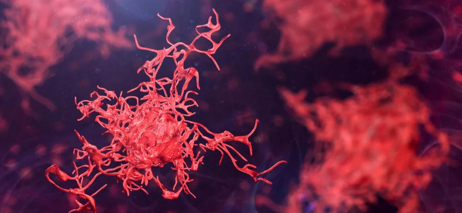 scientists-sound-the-alarm-as-dangerous-amoebas-spread-globally