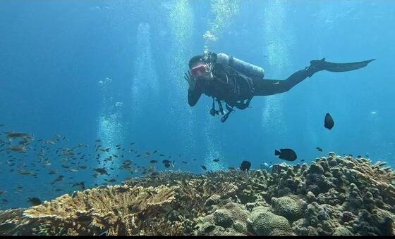 ‘the-ocean-has-no-boundaries’:-beauty-and-life-in-a-war-zone