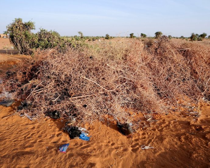 rights-group-says-drone-strike-kills-11-in-central-sudan-market