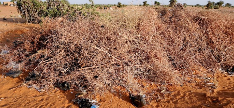 rights-group-says-drone-strike-kills-11-in-central-sudan-market