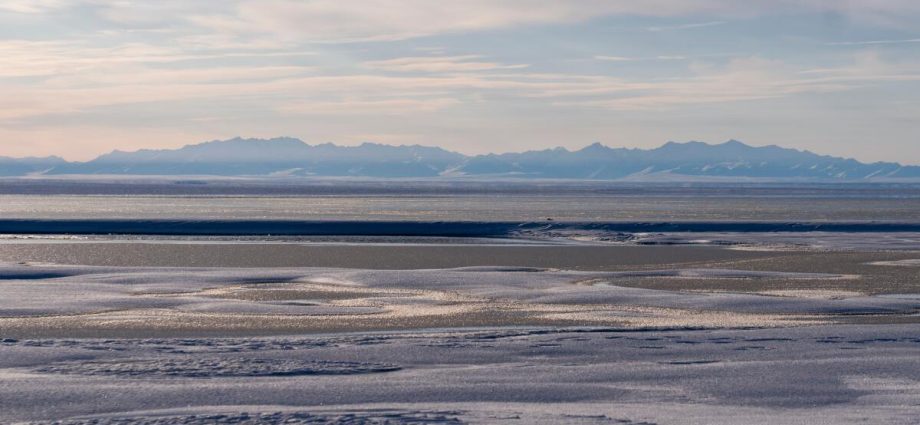 limited-interest-in-latest-oil-and-gas-lease-sale-for-alaska’s-arctic-national-wildlife-refuge