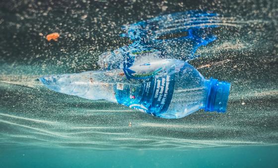 five-things-you-need-to-know-about-ocean-plastics