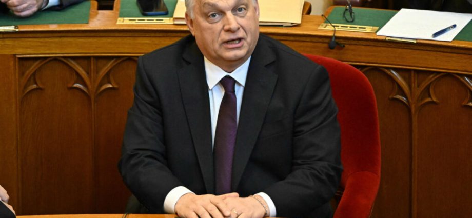 hungary’s-anti-corruption-watchdog-says-orban’s-former-inner-circle-should-be-prosecuted-over-billions-in-missing-eu-funds