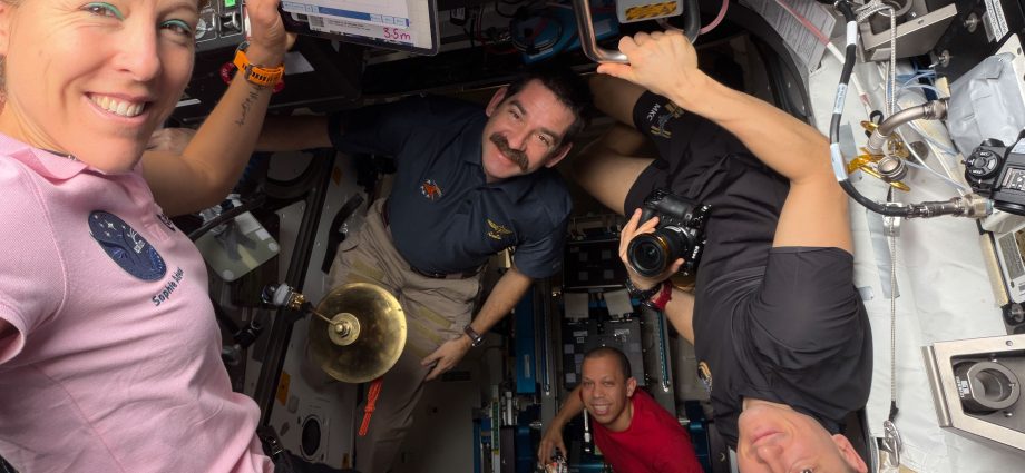 crew-begins-week-with-more-cartilage-printing-and-plant-harvesting