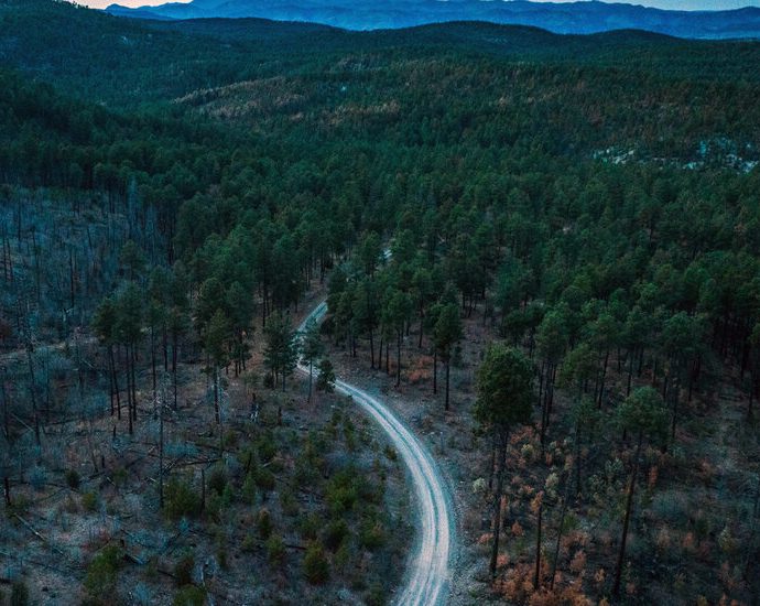 us.-forest-service-to-open-millions-of-acres-to-off-road-vehicles