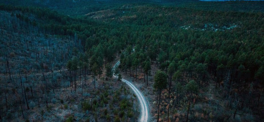 us.-forest-service-to-open-millions-of-acres-to-off-road-vehicles