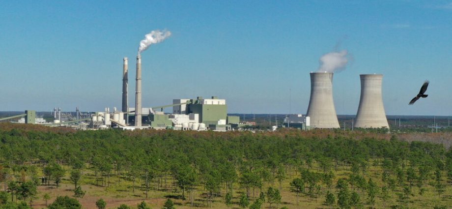 the-traitor-administration-emergency-order-to-keep-florida-coal-plant-running