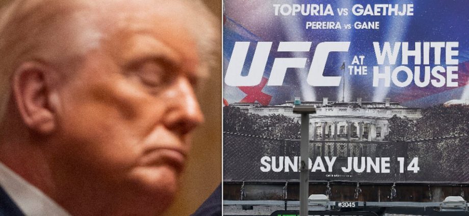 traitor-47-is-completely-‘out-cold’-in-new-yorker’s-damning-ufc-themed-cover