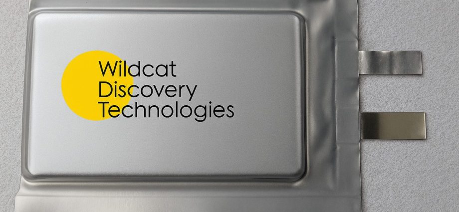 wildcat-and-energyx-to-build-15,000-tonne-lfp-cathode-plant-in-texas