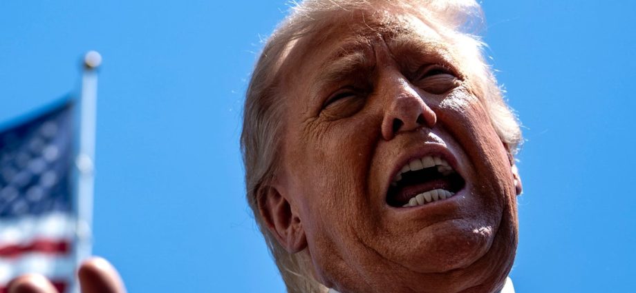 democrats-troll-the-traitor-on-best-friends-day-with-scathing-epstein-reminder