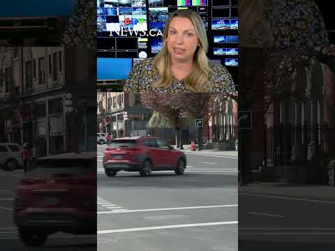 ‘safety,-parking-&-traffic-flow’-–-public’s-opinion-on-downtown-victoria