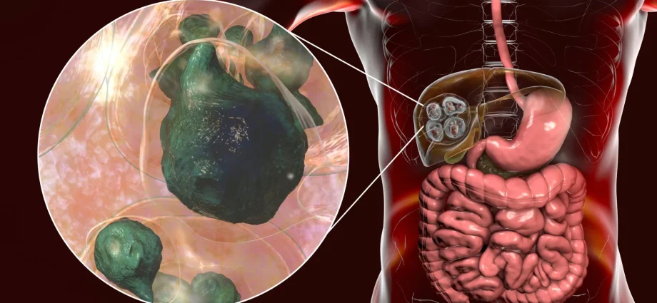 the-deadly-tapeworm-spreading-across-america-has-reached-the-pacific-northwest