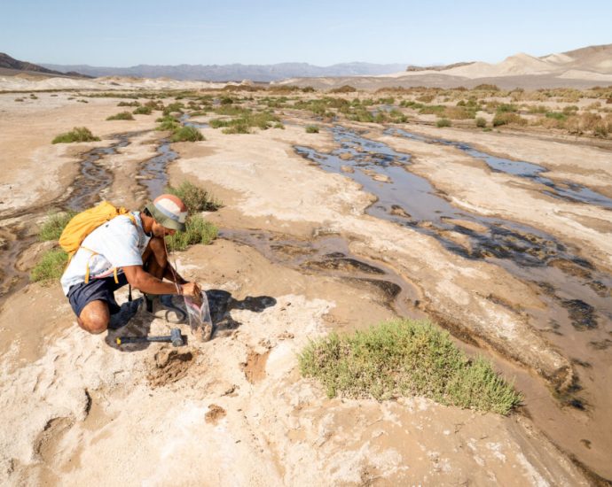 threads-of-earth’s-underground-fungal-networks-are-long-enough-to-reach-beyond-the-solar-system