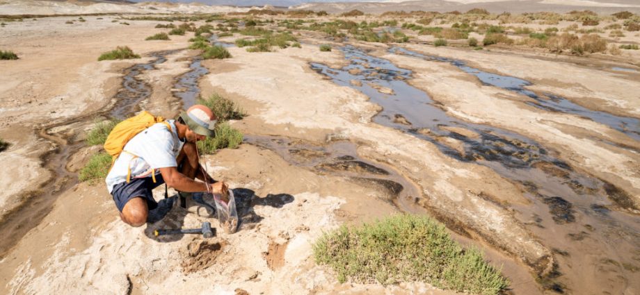threads-of-earth’s-underground-fungal-networks-are-long-enough-to-reach-beyond-the-solar-system