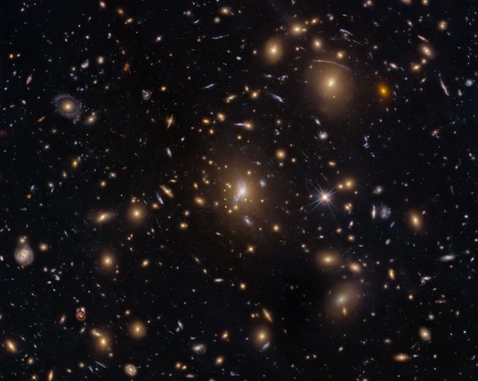 hubble-sees-swarm-of-galaxies