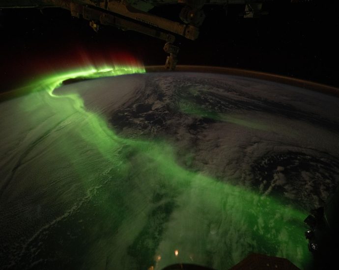botany-and-biology-research-wrap-up-week-as-dragon-preps-for-earth-return