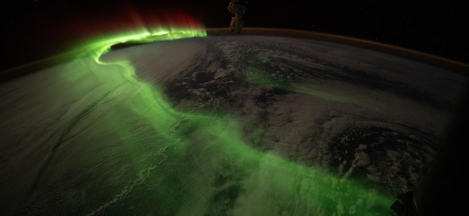 botany-and-biology-research-wrap-up-week-as-dragon-preps-for-earth-return