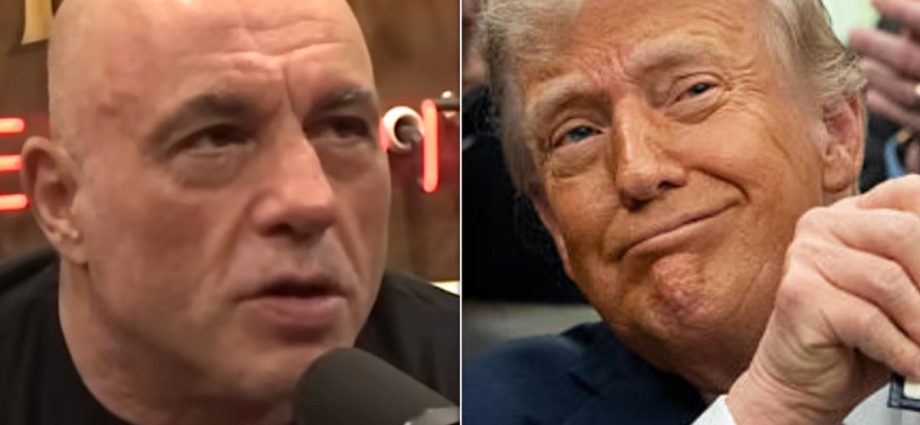 joe-rogan-counsels-traitor-47-on-which-sporting-events-to-attend