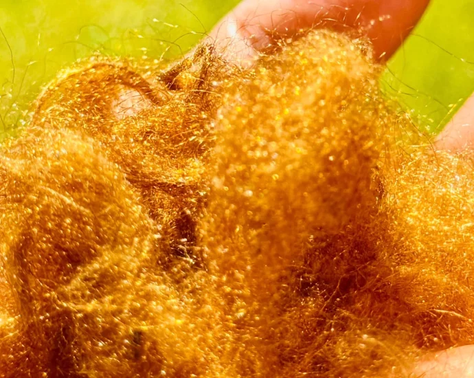 a-legendary-golden-fabric-lost-for-2,000-years-has-returned