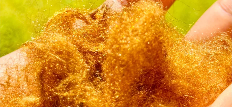 a-legendary-golden-fabric-lost-for-2,000-years-has-returned