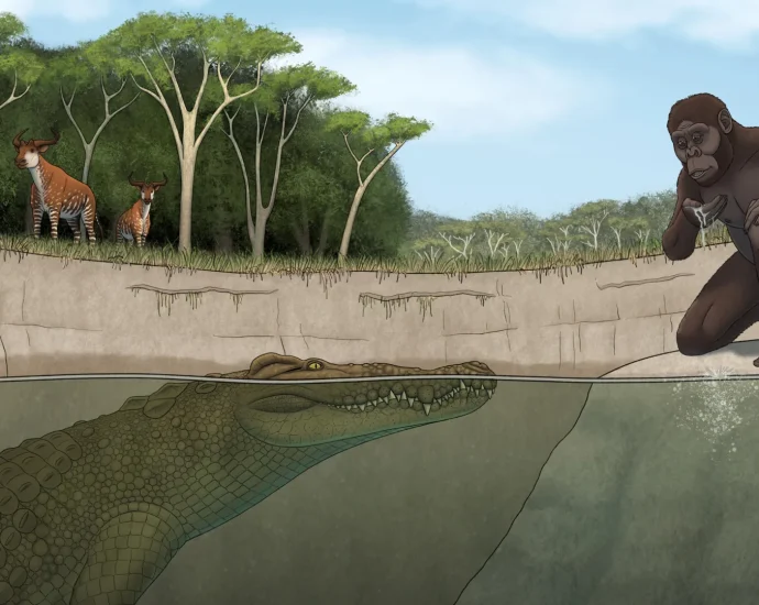 lucy’s-hunter-revealed:-giant-crocodile-terrorized-early-human-ancestors