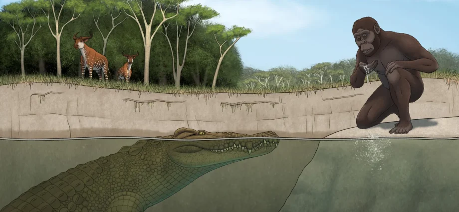 lucy’s-hunter-revealed:-giant-crocodile-terrorized-early-human-ancestors