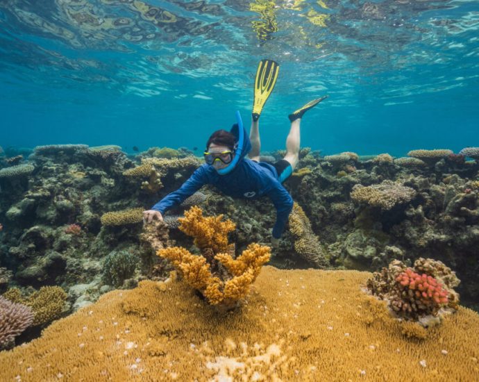 as-global-warming-threatens-corals-worldwide,-woods-hole-scientists-search-for-‘super-reefs’-that-can-take-the-heat