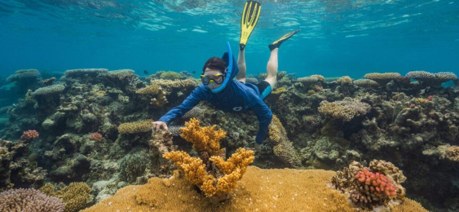 as-global-warming-threatens-corals-worldwide,-woods-hole-scientists-search-for-‘super-reefs’-that-can-take-the-heat