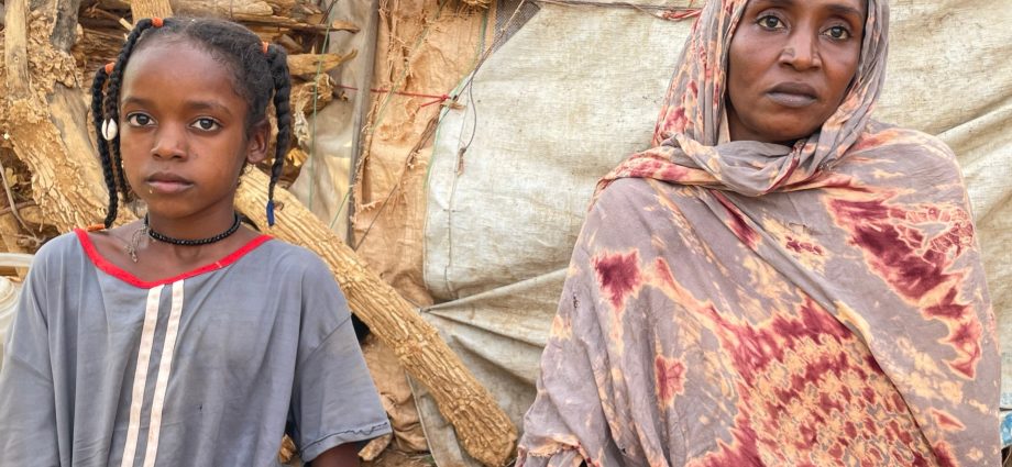 el-geneina’s-struggle:-life-amid-sudan-war-and-humanitarian-challenges