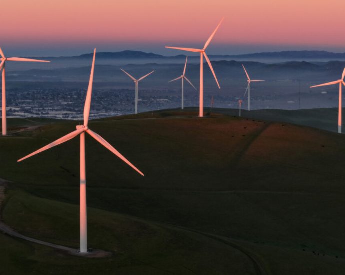 the-traitor-administration-abandons-fight-against-wind-energy-as-clean-energy-output-surges