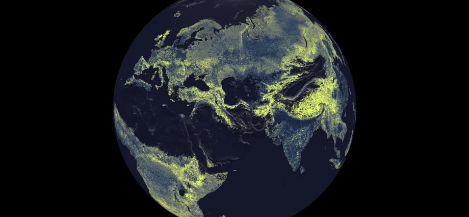 beneath-our-feet-lies-a-fungal-superhighway-stretching-68-quadrillion-miles