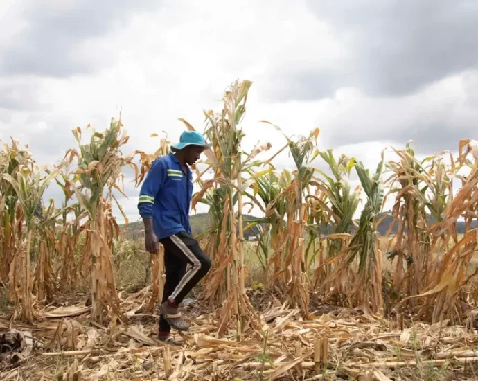 the-coming-‘super-el-nino’-could-disrupt-food-systems-worldwide