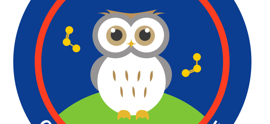 girl-scout-patch-–-owwl