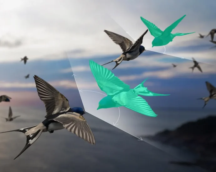 scientists-found-a-way-to-explain-bird-flocks-that-“defy”-newton’s-third-law