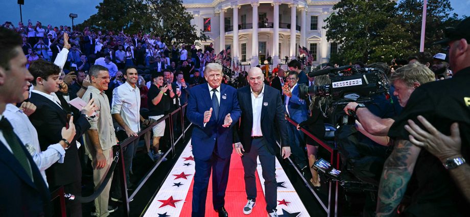 ufc-fight-can’t-hide-maga-male-weakness