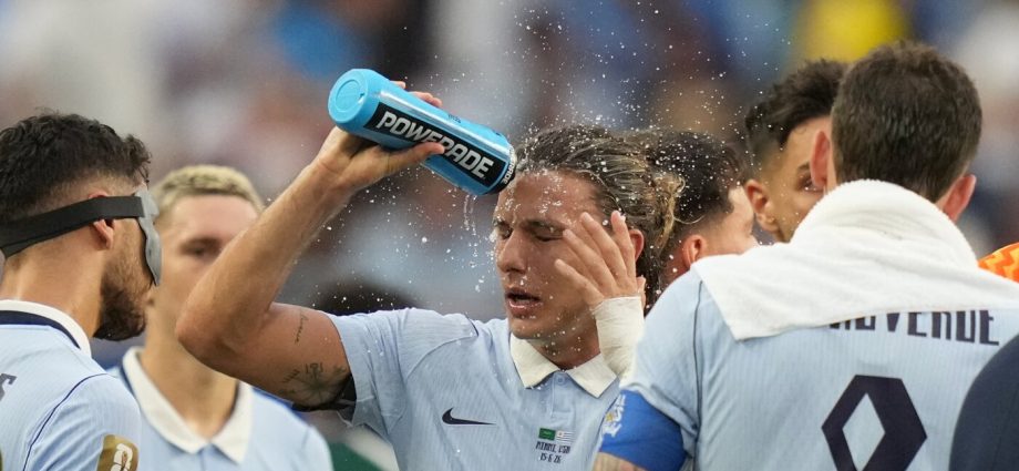faq:-how-world-cup-fans-and-workers-can-stay-safe-in-the-heat