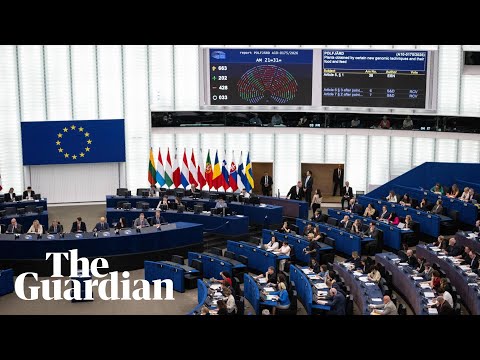 rightwing-meps-chant-‘send-them-back’-after-controversial-deportation-plans-are-passed