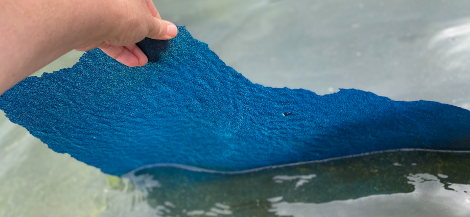 the-traitor’s-$14m-reflecting-pool-paint-job-is-now-peeling-off-and-floating-to-the-surface