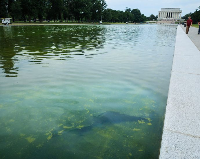 $14-million,-green-water,-peeling-paint:-the-traitor’s-reflecting-pool-reno-isn’t-going-well