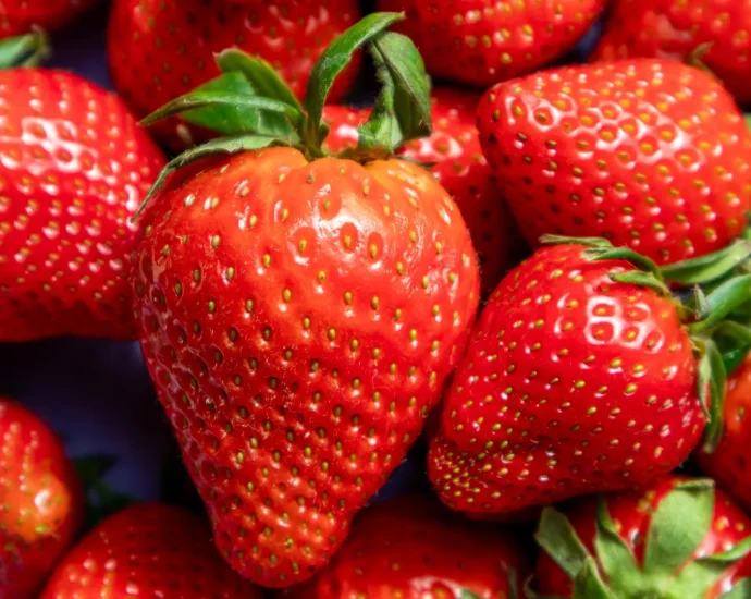 dna-time-stamps-reveal-the-strawberry’s-surprising-origins