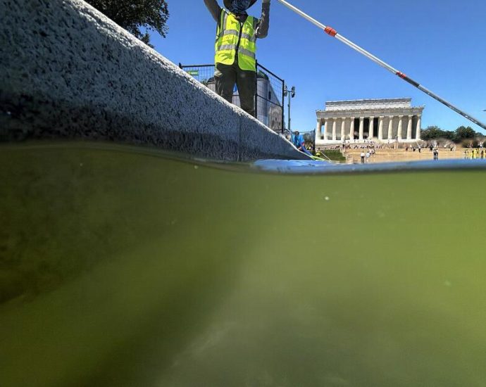 here’s-why-the-lincoln-memorial-reflecting-pool-went-green-so-fast