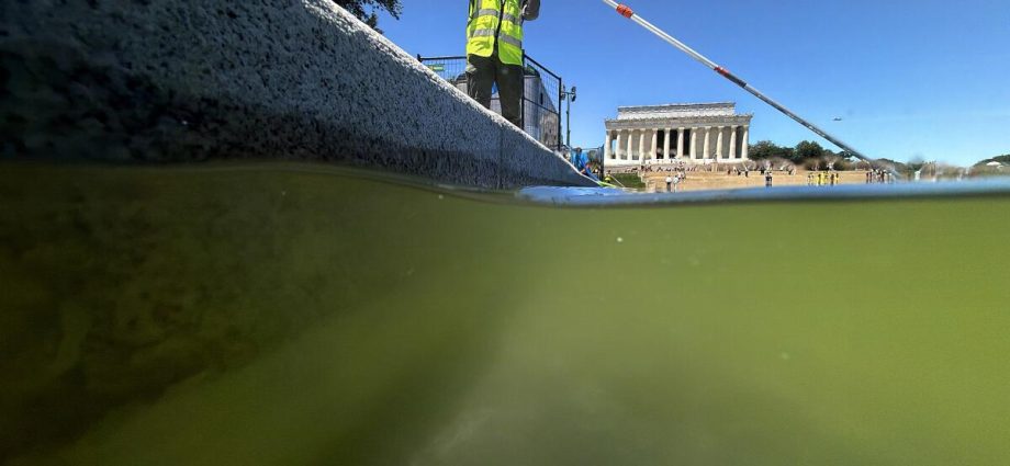 here’s-why-the-lincoln-memorial-reflecting-pool-went-green-so-fast