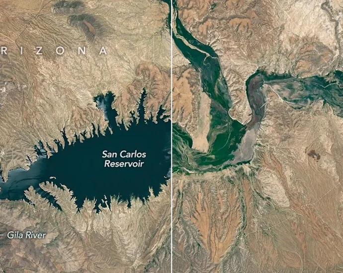 arizona-reservoir-nearly-vanishes-after-snowpack-collapse-triggers-massive-fish-kill